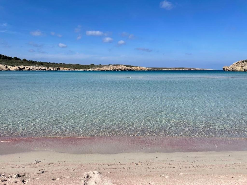 Apartamento Brisa De Menorca Сон-Парк Экстерьер фото